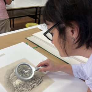 Visita a las Colecciones artísticas de la UCM y talleres de Bellas Artes - 14 noviembre - 10:30h - 13:20h