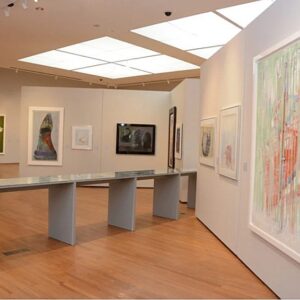 Visita a la Colección Juan Portela