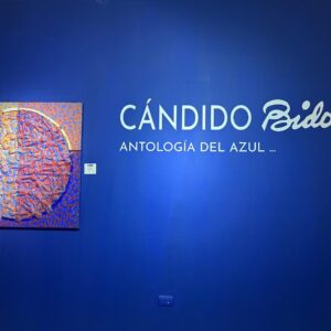 Centro Cultural Museo Casa Bidó